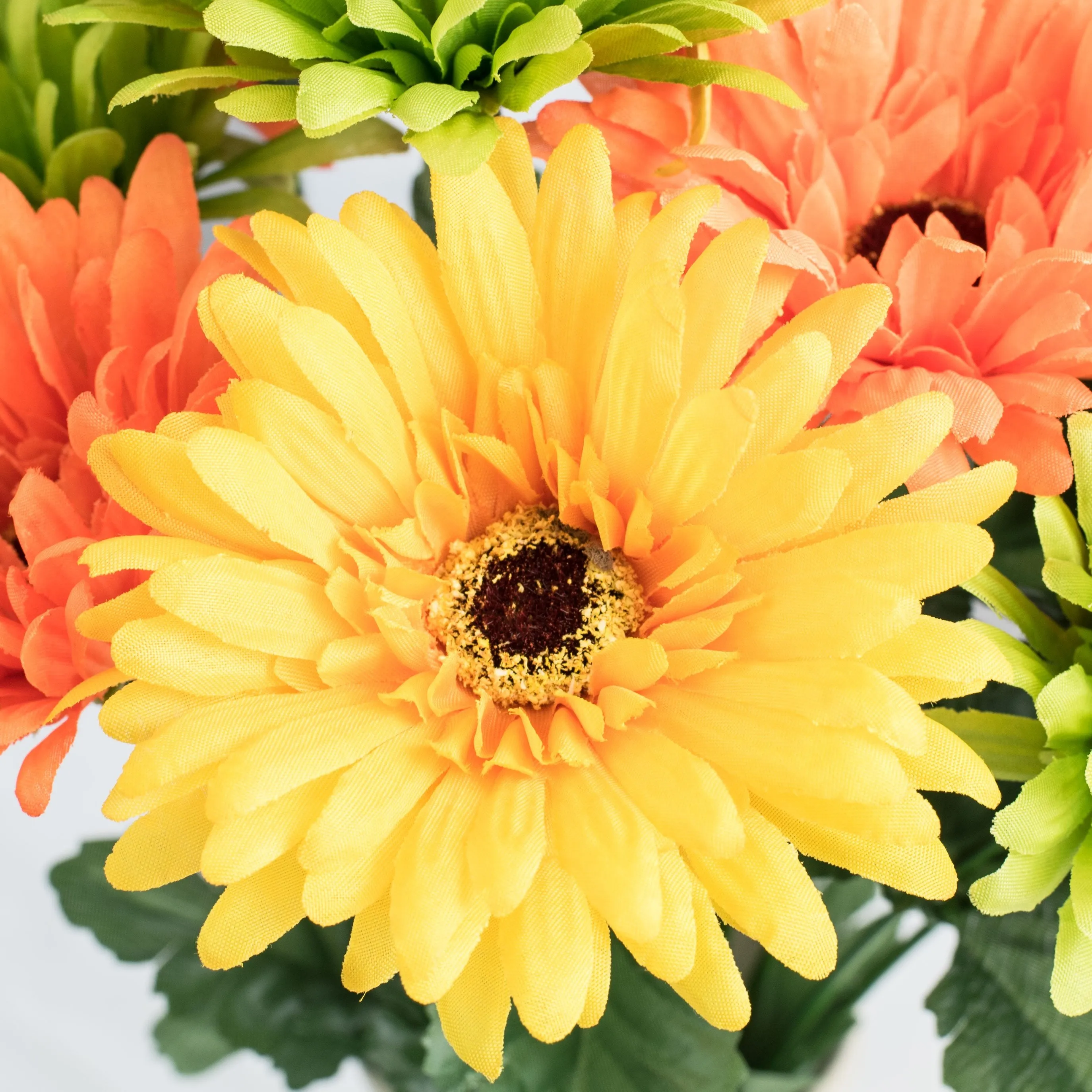 18" Gerbera Daisy Bush: Citrus (12 Stem)