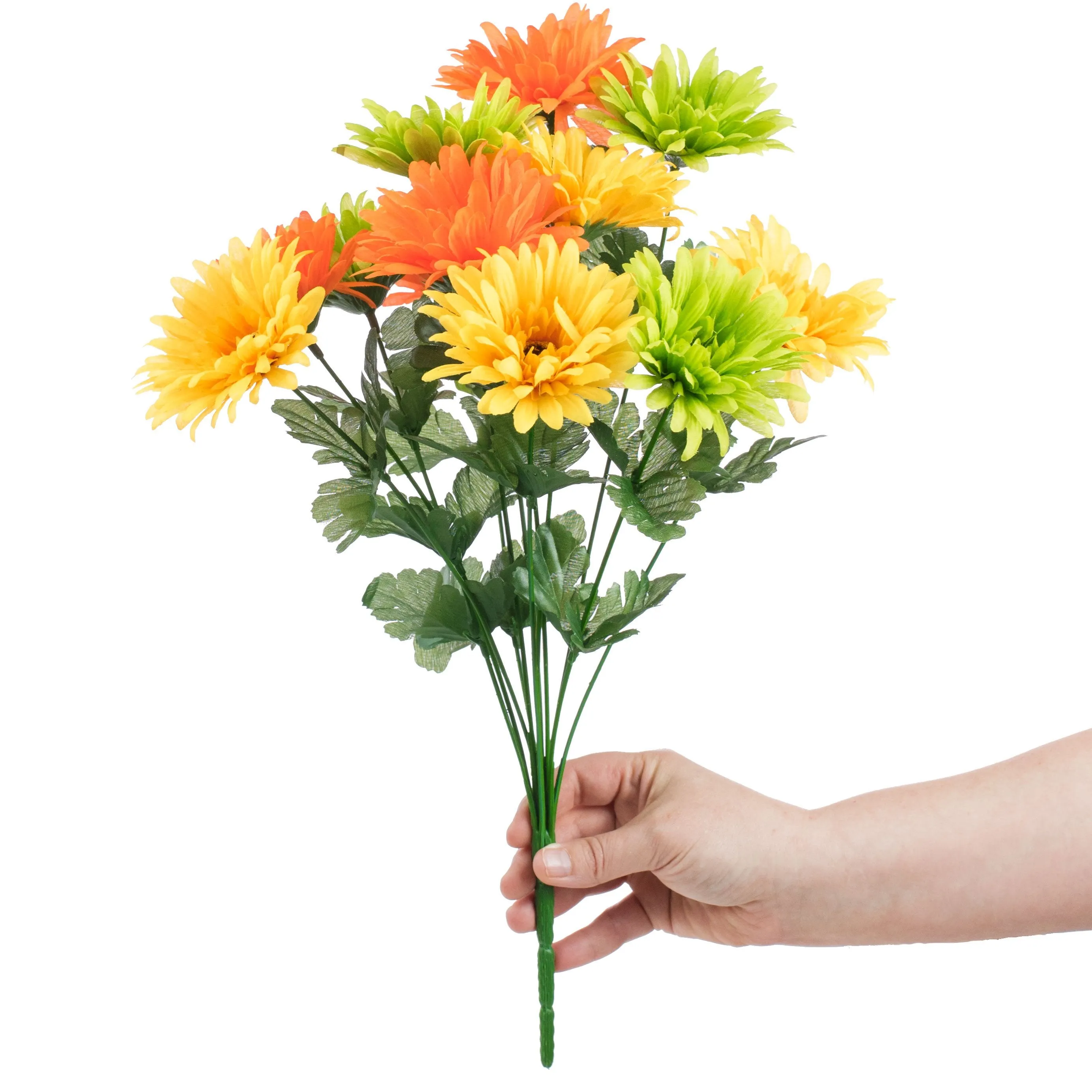18" Gerbera Daisy Bush: Citrus (12 Stem)