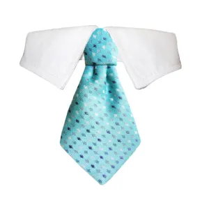 collared adrian blue tie